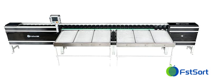 images/1738915623175fruit sorting machines.jpg